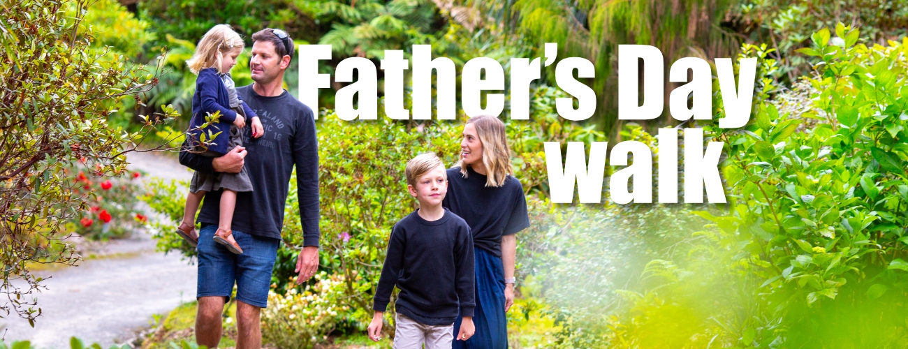 FathersDay banner