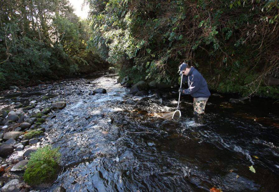 Ecological monitoring of waterways