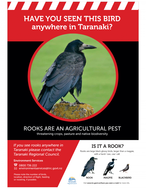 Have you seen a rook? / Taranaki Regional Council