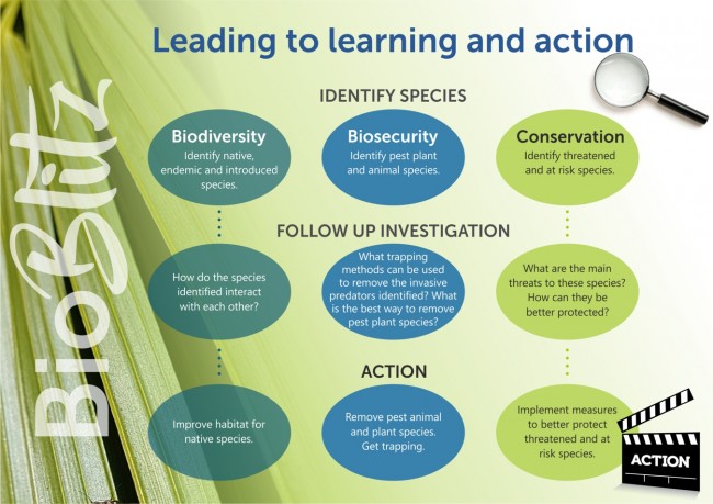 Leading to learning and action