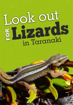 Look out for lizards in Taranaki