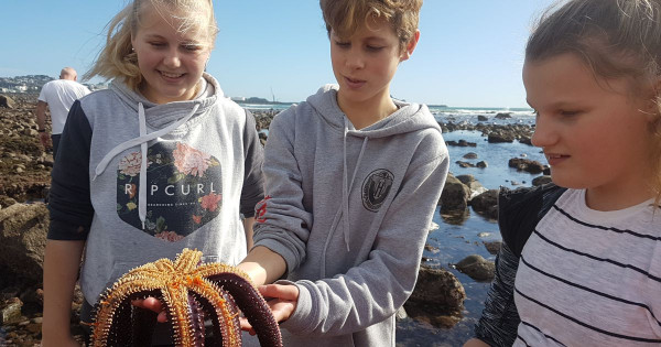 Coastal - Students studying down by the rocky shore