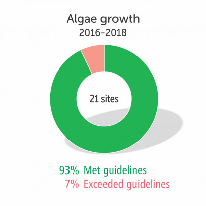 Algae growth 2016-2018