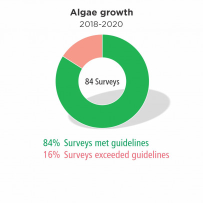 Algae growth 2018-2020