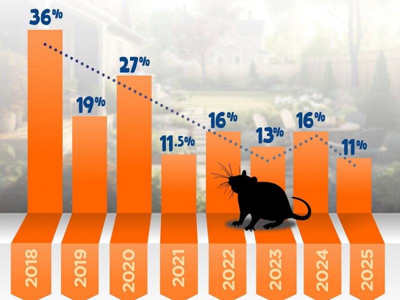 Predator Free Rat tracking catch rates NP 2025 06 11 web
