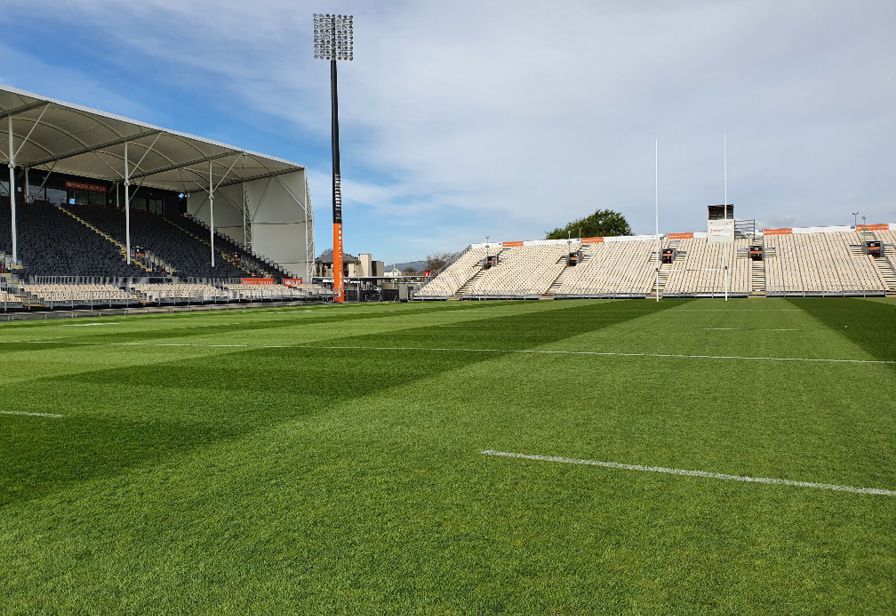 GrassMaster hybrid turf at Orangetheory Stadium, Christchurch GrassMaster hybrid turf at Orangetheory Stadium, Christchurch
