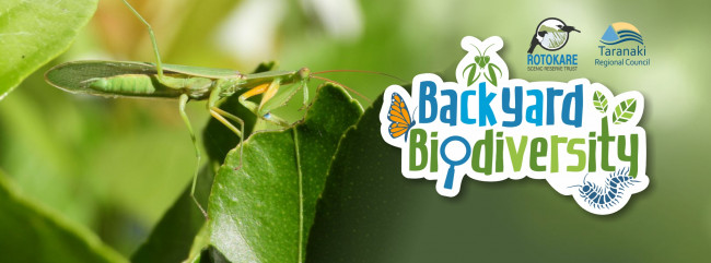 Backyard Biodiversity banner