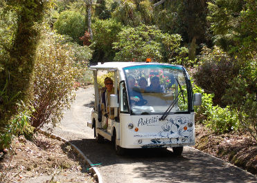 Mobility vehicle tour at Pukeiti