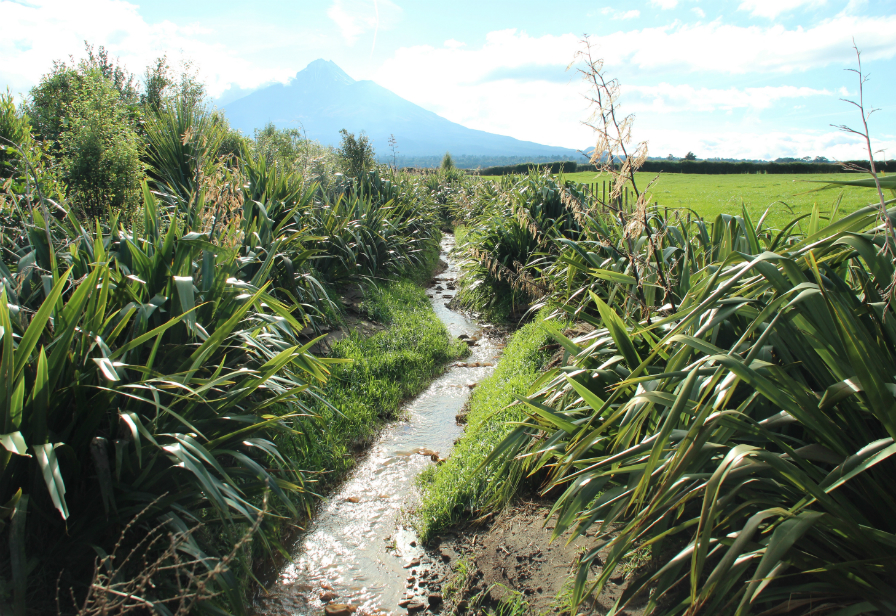 web Riparian Planting Trevor Hurley Oeo Rd 16 sm